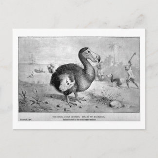 Dodo Art Postkarte