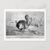 Dodo Art Postkarte (Vorderseite)
