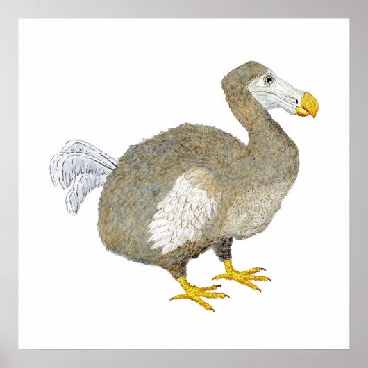 Dodo Bird Art Poster (Vorne)