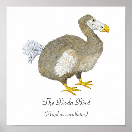 Dodo Bird Art Poster (Vorne)