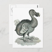 DoDo Bird Print Postkarte (Vorne/Hinten)