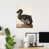 Dodo Bird Vintag Print Poster (Heimbüro)