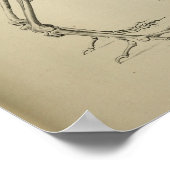 Dodo Didus Ineptus Extinct Bird Skelett Print Poster (Ecke)