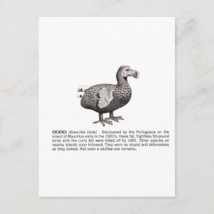 dodo postkarte