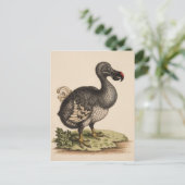 Dodo Postkarte (Stehend Vorderseite)