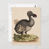 Dodo Postkarte (Vorne/Hinten)