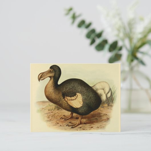 Dodo Postkarten (Stehend Vorderseite)
