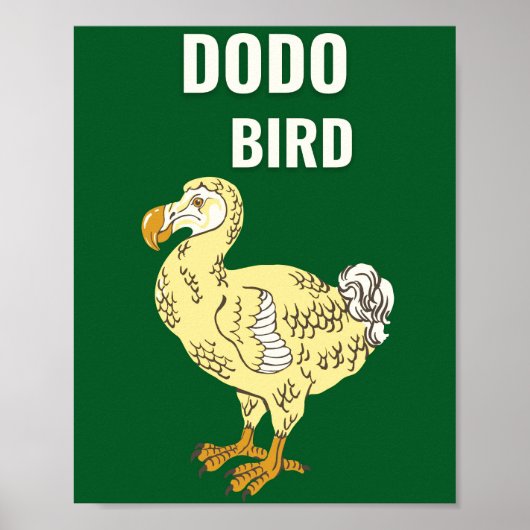Dodo-Vogel Poster (Vorne)