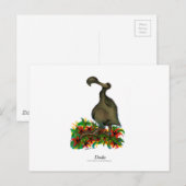 Dodo-Vogel, tony fernandes Postkarte (Vorne/Hinten)