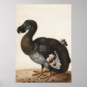 Dodo-Vogel Vintage-Druck Poster