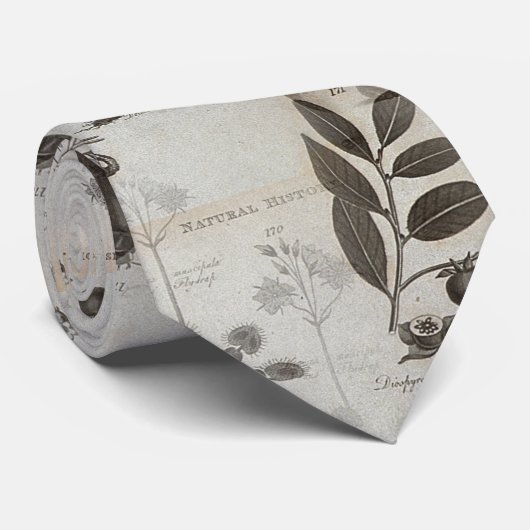 Dodogeschichtsnaturbiologie Krawatte (Gerollt)