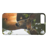 Doe, A Deer Case-Mate iPhone Hülle (Rückseite (Horizontal))