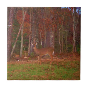 Doe a Deer im Arrowhad-See Fliese