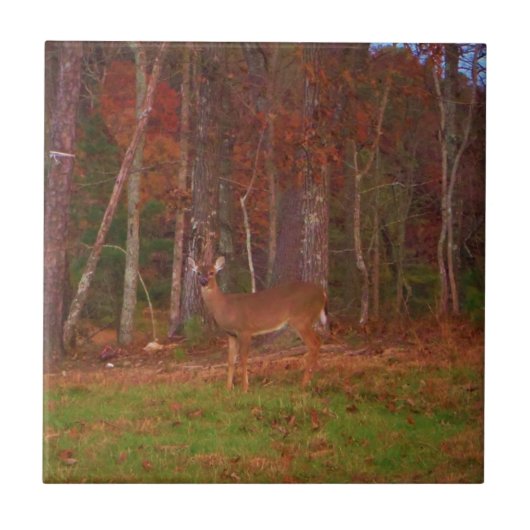 Doe a Deer im Arrowhad-See Fliese (Vorderseite)