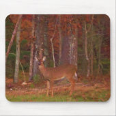 Doe a Deer im Arrowhad-See Mousepad (Vorne)