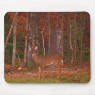 Doe a Deer im Arrowhad-See Mousepad