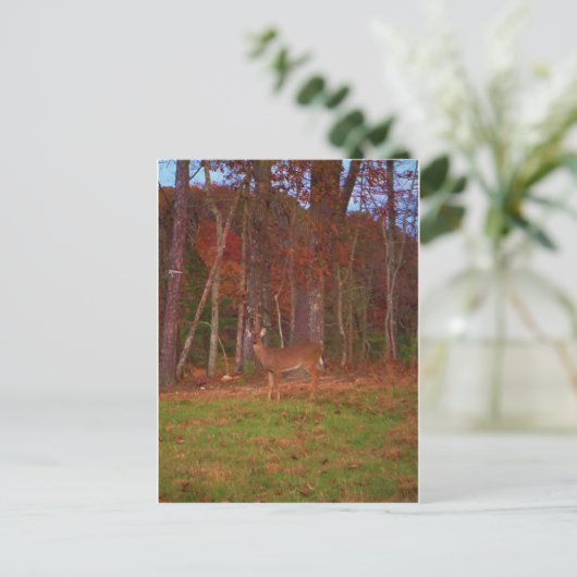 Doe a Deer im Arrowhad-See Postkarte (Stehend Vorderseite)