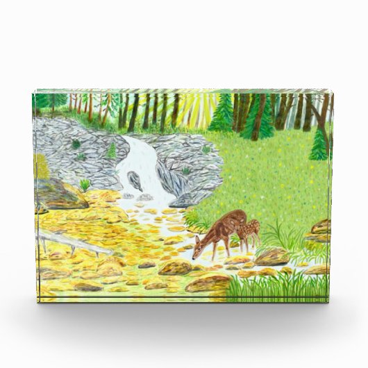 Doe and Fawn Deer Fotoblock (Vorderseite)