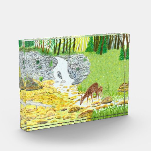 Doe and Fawn Deer Fotoblock (Links)