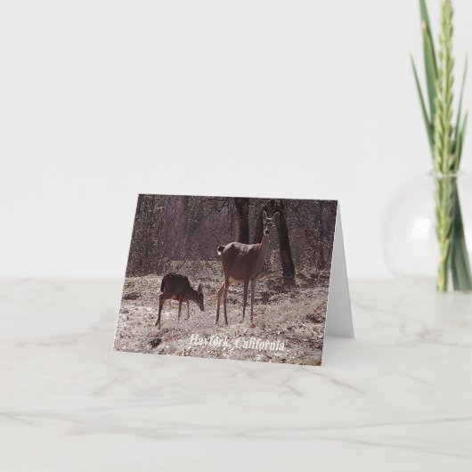 Doe and fawn..... karte (Vorderseite)