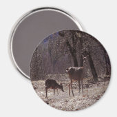Doe and fawn... magnet (Vorderseite/Rückseite)