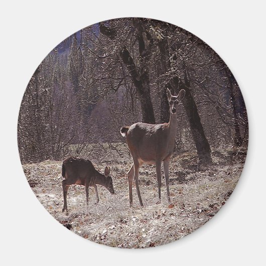 Doe and fawn... magnet (Vorne)