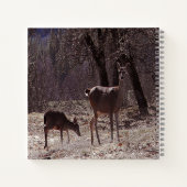 Doe and fawn... notizblock (Rückseite)