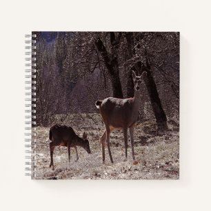 Doe and fawn... notizblock