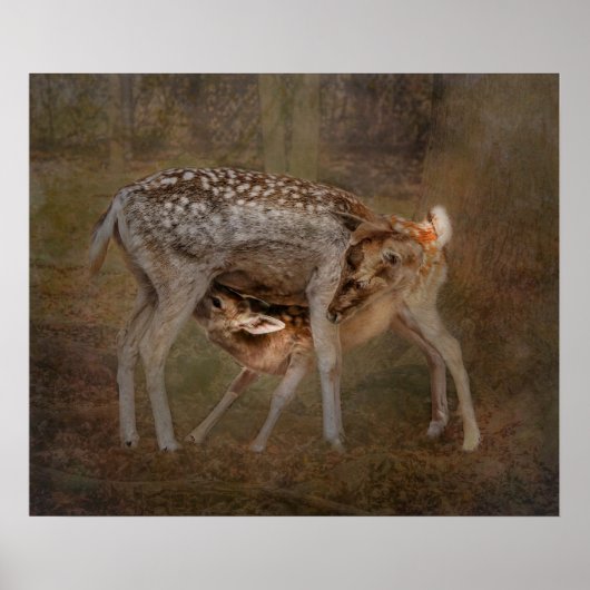 Doe and Fawn, Pflege Foto Poster (Vorne)