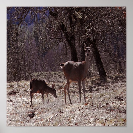 Doe and fawn..... poster (Vorne)
