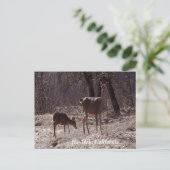 Doe and fawn..... postkarte (Stehend Vorderseite)
