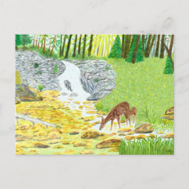 Doe and Fawn Postkarte