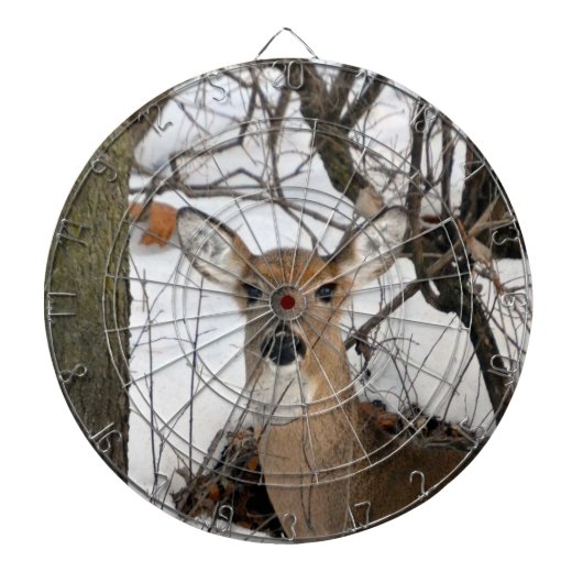 Doe Dart Board Dartscheibe (vorne)