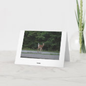 Doe & Fawn Karte (Rückseite)