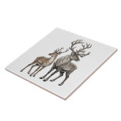 Doe & Hirsch Fliese (Seite)