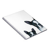 dog 128 Boston Terrier Notizblock (Rechte Seite)