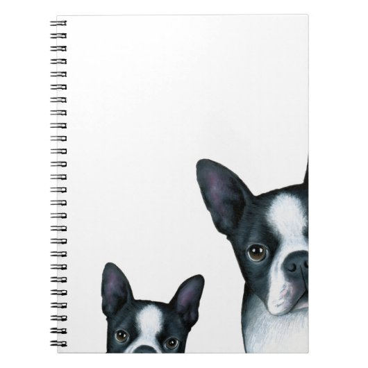 dog 128 Boston Terrier Notizblock (Vorderseite)