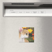 Dog 84 Magnet (In Situ (Geschirrspüler))