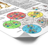 Dog Acupuncture Points Locations Poster (Ecke)