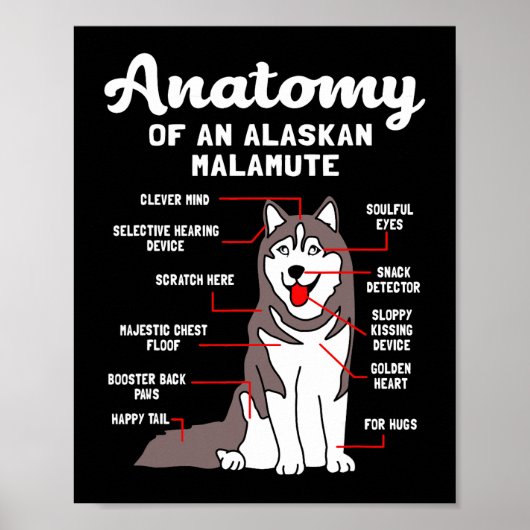 Dog Alaskan Malamute Anatomie Funny Malamute Poster (Vorne)