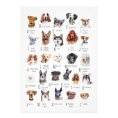 Dog Alphabet Poster (Vorne)