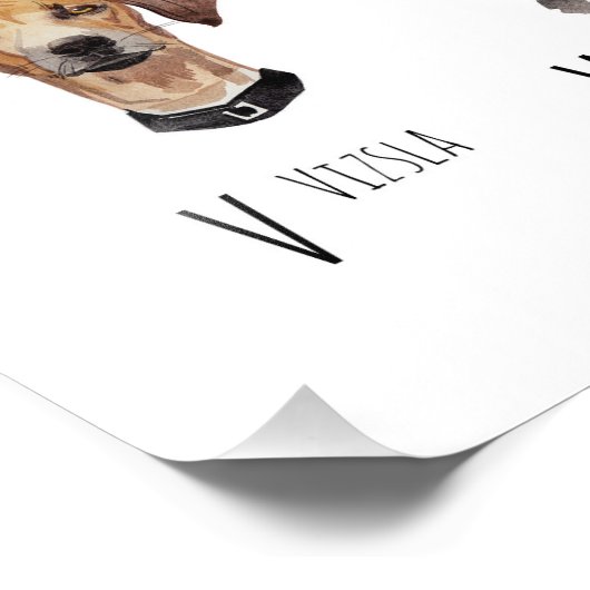 Dog Alphabet Poster (Ecke)