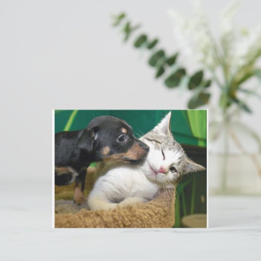 Dog and cat postkarte (Stehend Vorderseite)