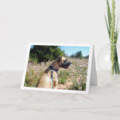 Dog and Wildflowers Portrait Karte (Vorderseite)