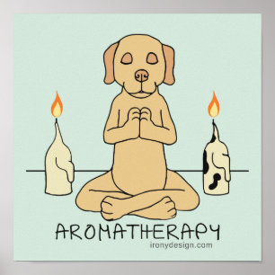Dog Aromatherapie Medizin Witziger Cartoon Poster