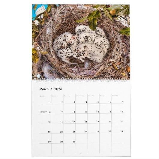 DOG ART #2 Large & Small Breeds Kalender (Mär 2026)