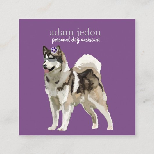 Dog Assistant Square Business Card Quadratische Visitenkarte (Vorderseite)