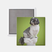 Dog auf einer Säule Magnet (Vorderseite/Rückseite)