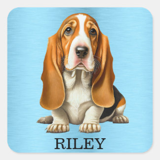 Dog, Basset-Hound-Portrait-Vorlage Quadratischer Aufkleber