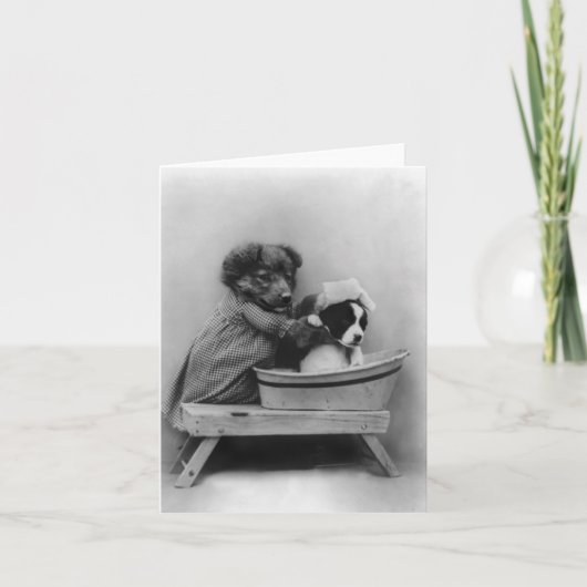 Dog Bathing Hund Karte (Vorderseite)